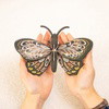 SWALLOWTAIL PETITE BUTTERFLY - Wall Art 3D Puzzle Kit