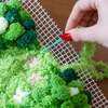 DAISY - Moss Coaster Kit