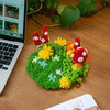 MUSHROOM MEADOW - Moss Coaster Kit