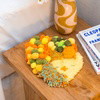 PUMPKIN PATCH - Moss Coaster Kit