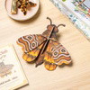 ATLAS MIDI MOTH - Wall Art 3D Puzzle Kit