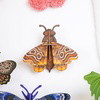 ATLAS MIDI MOTH - Wall Art 3D Puzzle Kit