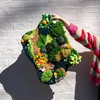 MEGA MOSSY - Rug & Coaster Bundle