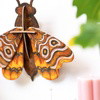 ATLAS MIDI MOTH - Wall Art 3D Puzzle Kit