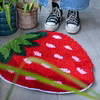 Strawberry Dreams - Crochet & Latch Hook Bundle