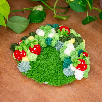 STRAWBERRY -  Moss Coaster Kit