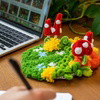 MUSHROOM MEADOW - Moss Coaster Kit
