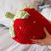 Berry Patch - Crochet & Latch Hook Bundle