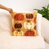 PUMPKIN SPICE - Latch Hook Cushion Kit