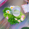 DAISY - Moss Coaster Kit