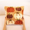 PUMPKIN SPICE - Latch Hook Cushion Kit