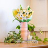 The Posy Set - Pipecleaner Bundle