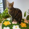FLOWER BOMB GREEN - Rug Making Kit