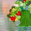 STRAWBERRY -  Moss Coaster Kit