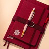 MULBERRY RED SATELLITE - Orbit Journal