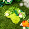 Monarch Butterfly - Moss Coaster Kit