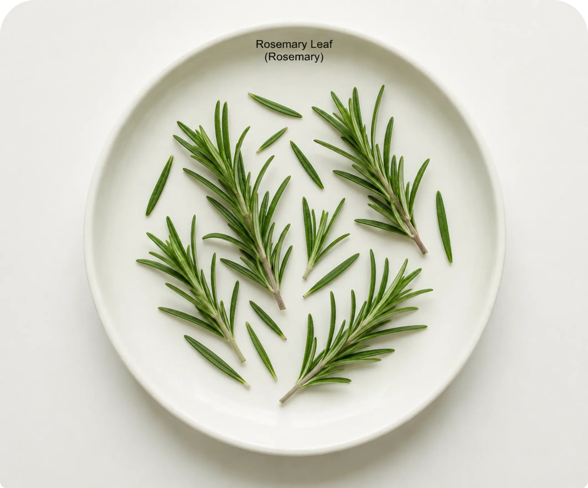 Rosemary leaves on a ceramic plate