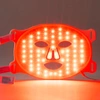 Aphrodite LED Face Mask