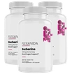 Berberine - Blood Sugar Support