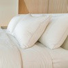 Sleep Essentials Bundle