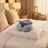 Travel Pillow - Blue - Hooded