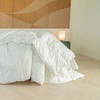 Down Blended Comforter
