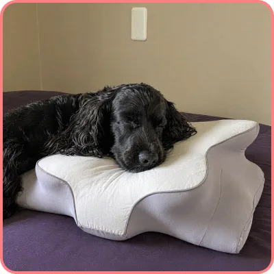 Customer photo with FluffCo Ergo Pillow