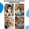 Original Pet Grooming Vacuum Kit - image 5