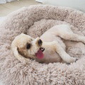 Oatmeal Calming Donut Pet Bed - image 3