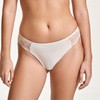 Silhouette Lace Brief