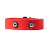 Herz P1 HR Replacement Straps