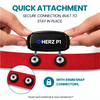 Herz P1 HR Replacement Straps