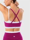 High Waisted Seamless Leggings & Double Layer Sports Bra