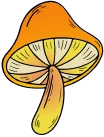 Citrus