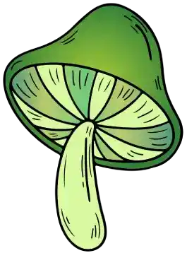 reviews-mushroom