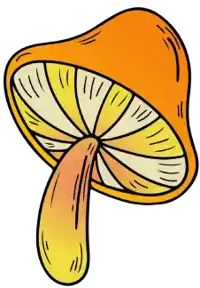 reviews-mushroom