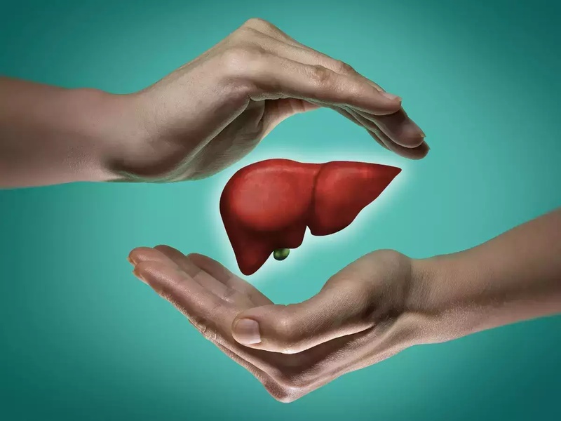 The Crucial Role of Liver Function in Your Health