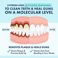 LIVFRESH Gel Toothpaste + Mouthwash Bundle - image 2