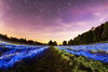 Test Upload Images
