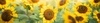Flowerss