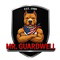 Mr Guardwell
