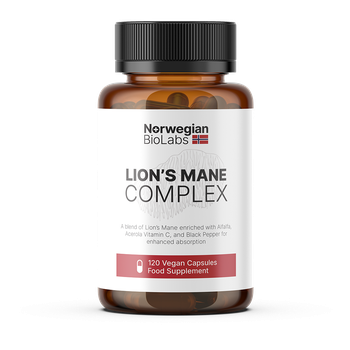 Lion's Mane Extract