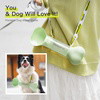 Pet Dog Water Bottle Feeder