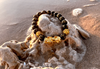 Feng Shui Black Obsidian Wealth Bracelet