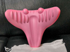 Neck massager and c rest pillow