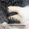 Pet Beds  Anti-Slip & Water-Resistant Bottom