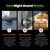 Night Guard Solar Light