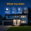 Night Guard Solar Light