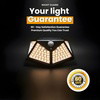 Night Guard Solar Light