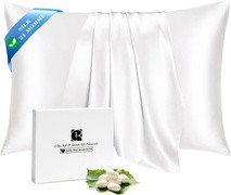 SilkDream